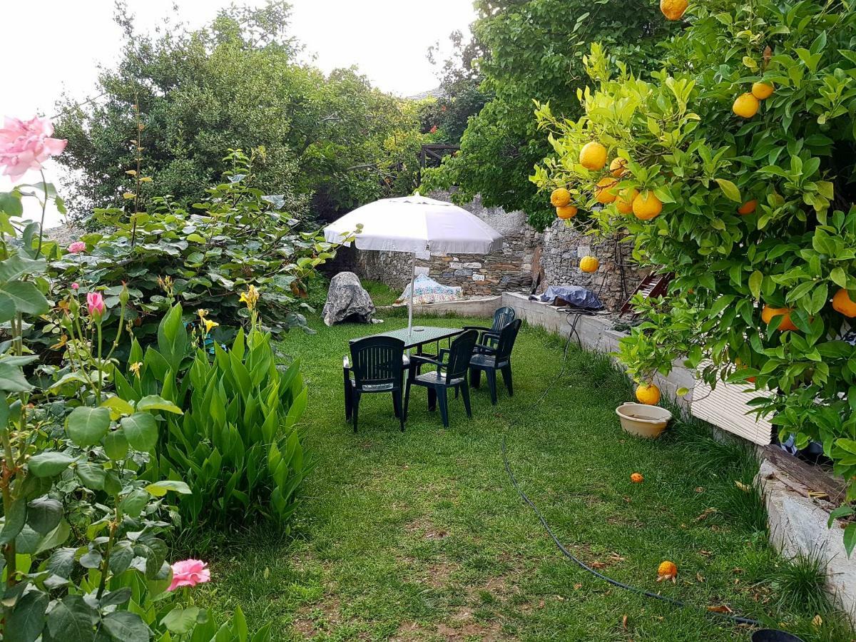Villa Koukourava Garden Makrinítsa Exterior foto